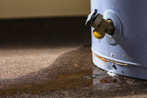 Best Water damage contractors near me  in Skyline Acres, OH