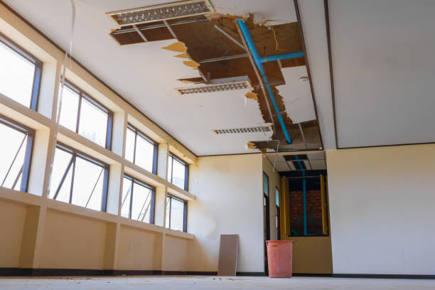 Best Ceiling water damage repair  in Skyline Acres, OH