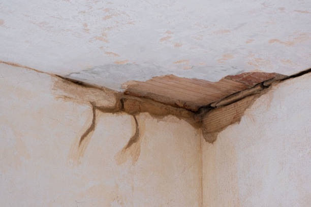 Reliable Skyline Acres, OH Water damage restoration Solutions