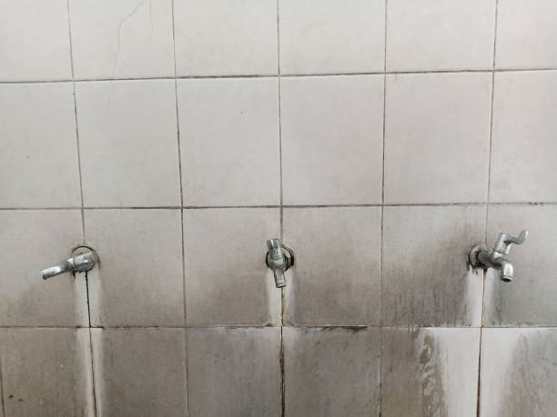 Best Flood restoration services  in Skyline Acres, OH