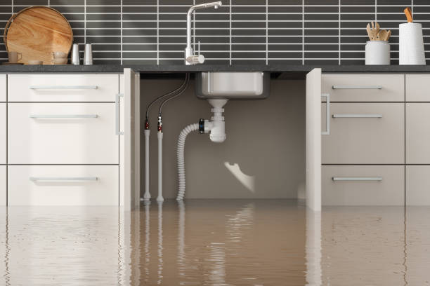 Best Water damage mitigation services  in Skyline Acres, OH