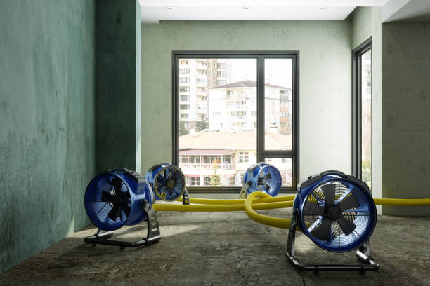  Skyline Acres, OH Water damage restoration Pros